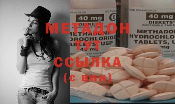 шишки Белая Холуница