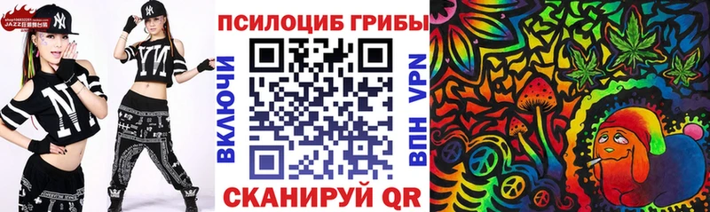 Галлюциногенные грибы Psilocybine cubensis  Котово 
